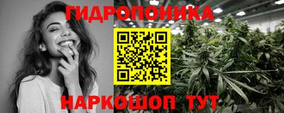 мдпв Гай