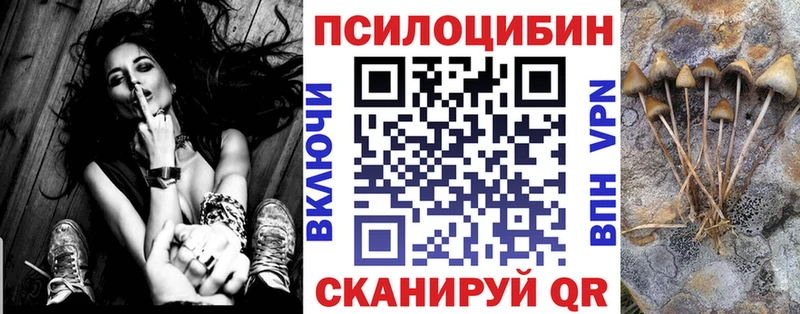Галлюциногенные грибы Cubensis  где купить наркоту  блэк спрут как зайти  Богданович 