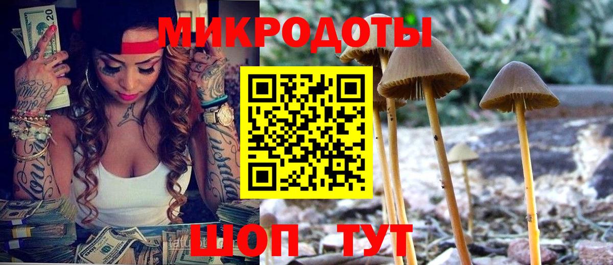 Галлюциногенные грибы MAGIC MUSHROOMS  Богданович 