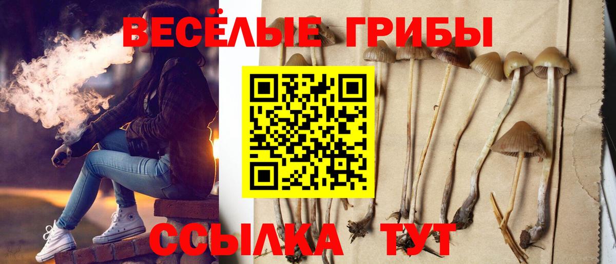 Амфетамин Богданович