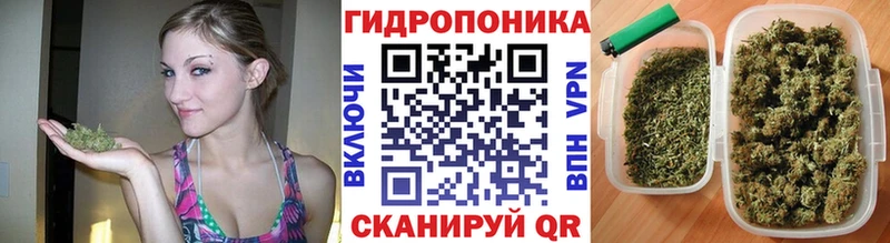 Конопля марихуана  Богданович 